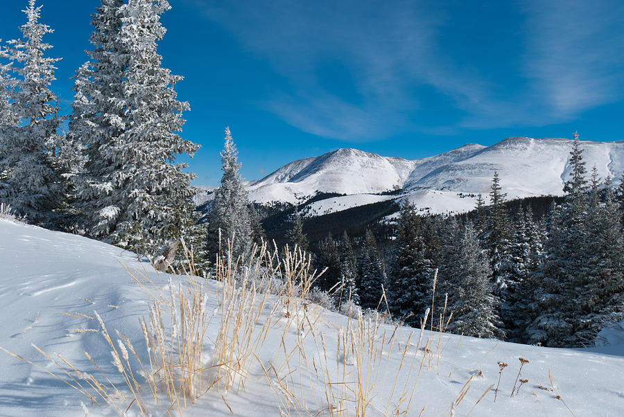Colorado Winter Beauty Photograph by Cascade Colors