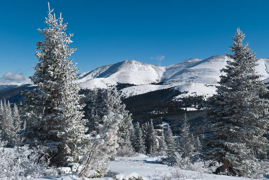 Colorado Winter Majesty Photograph