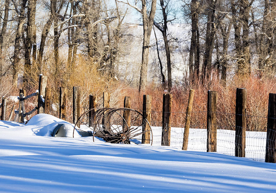 Colorado Winter Snow Scene with old Farming Rake and Rustic Fence by Nadja Rider Colorado Winter Snow Scene with old Farming Rake and Rustic Fence by Nadja Rider