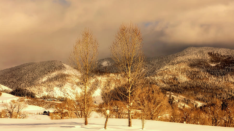 Colorado Winter Wonderland Photograph by Mountain Dreams