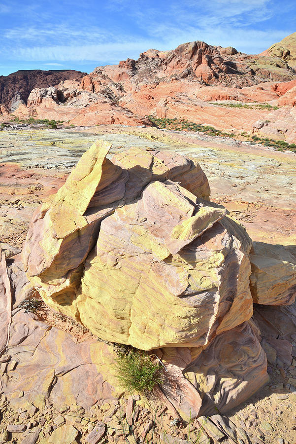 Colored Boulder in Valley of Fire Photograph by Ray Mathis
