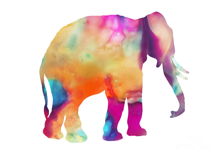 Elephant Digital Art - Colored Elephant painting by Justyna Jaszke JBJart
