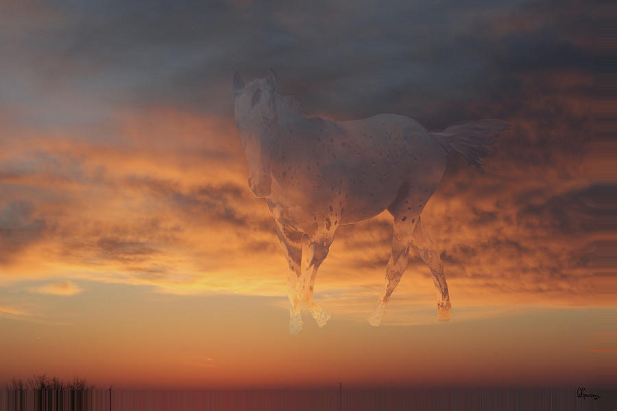 Sunset Photograph - Colored Horse by Andrea Lawrence