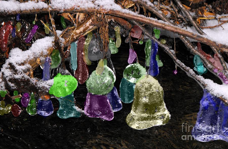 Ice Photograph - Colored Ice Bells by David and Lynn Keller Ice Photograph - Colored Ice Bells by David and Lynn Keller