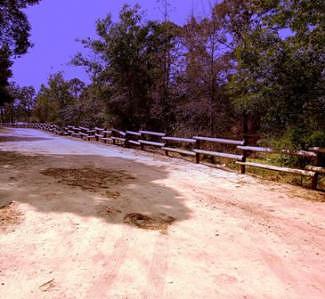 Path Photograph - Colored Path by Rana Adamchick Path Photograph - Colored Path by Rana Adamchick