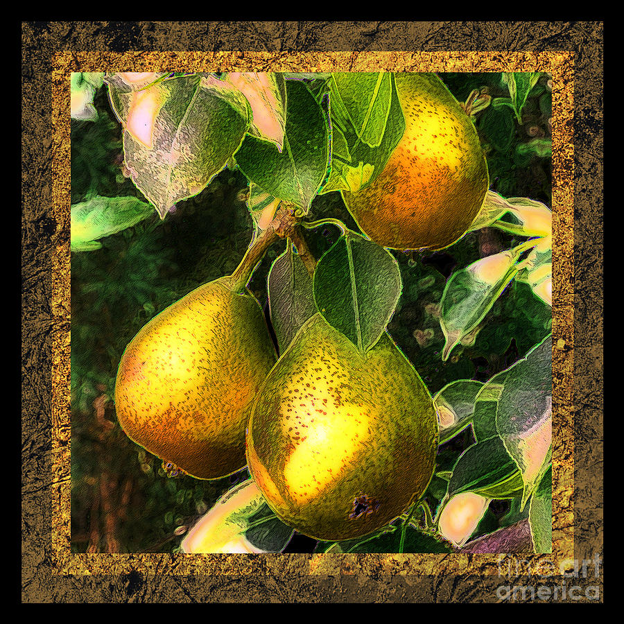 Colored Pears Photograph by Sari Sauls