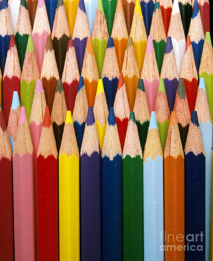 Colored Pencils Photograph by Gerard Lacz