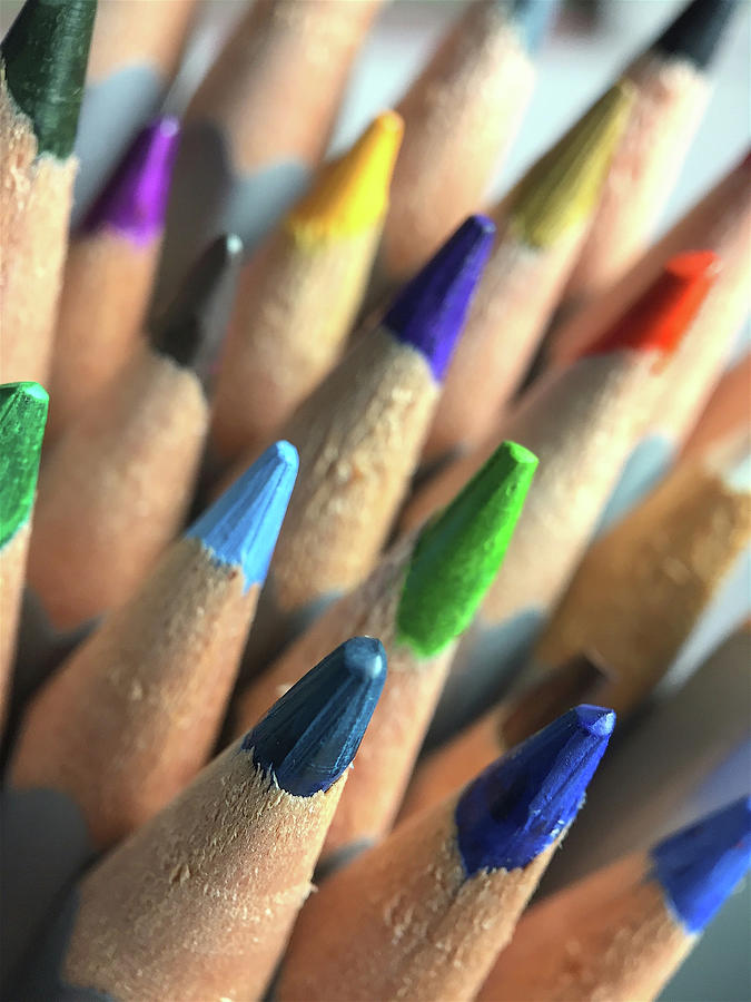 Colored Pencils Photograph by Masha Batkova