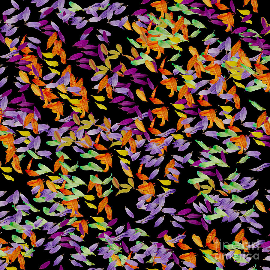 Colored Petals Pattern Digital Art by Diane K Smith