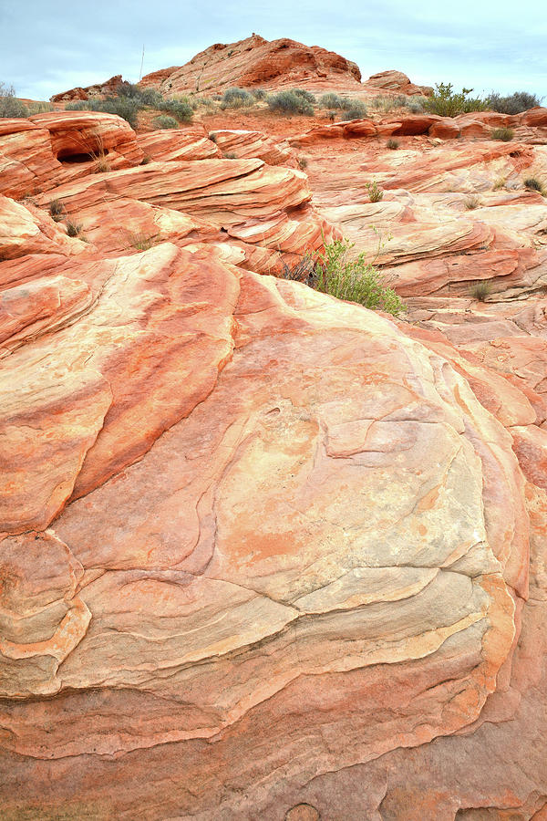 Colored Sandstone in Valley of Fire Photograph by Ray Mathis