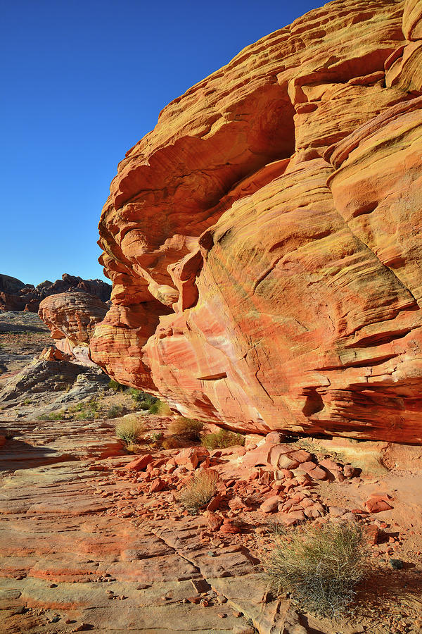 Colored Walls of Valley of Fire Photograph by Ray Mathis
