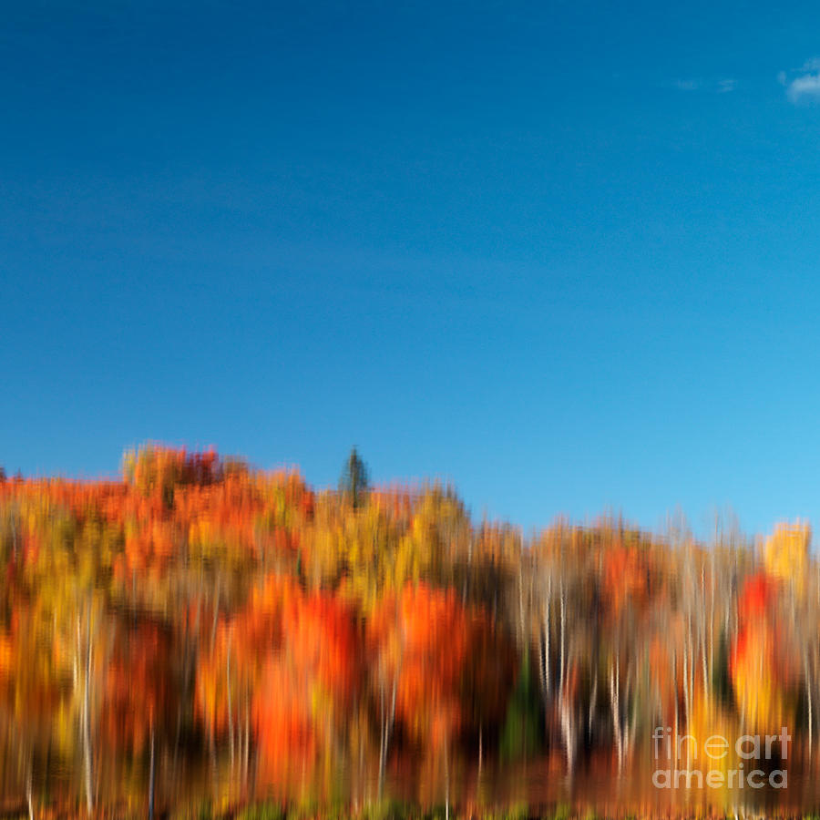 Fall Photograph - Colorful abstract fall nature reflected scenery by Maxim Images Exquisite Prints