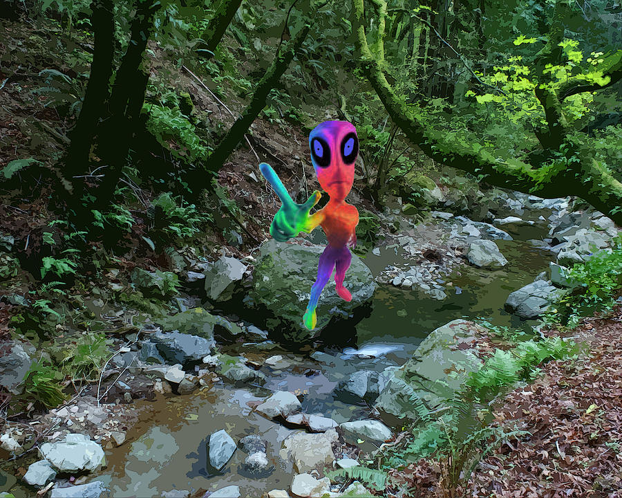 Colorful Alien at Creek Photograph by Ben Upham III