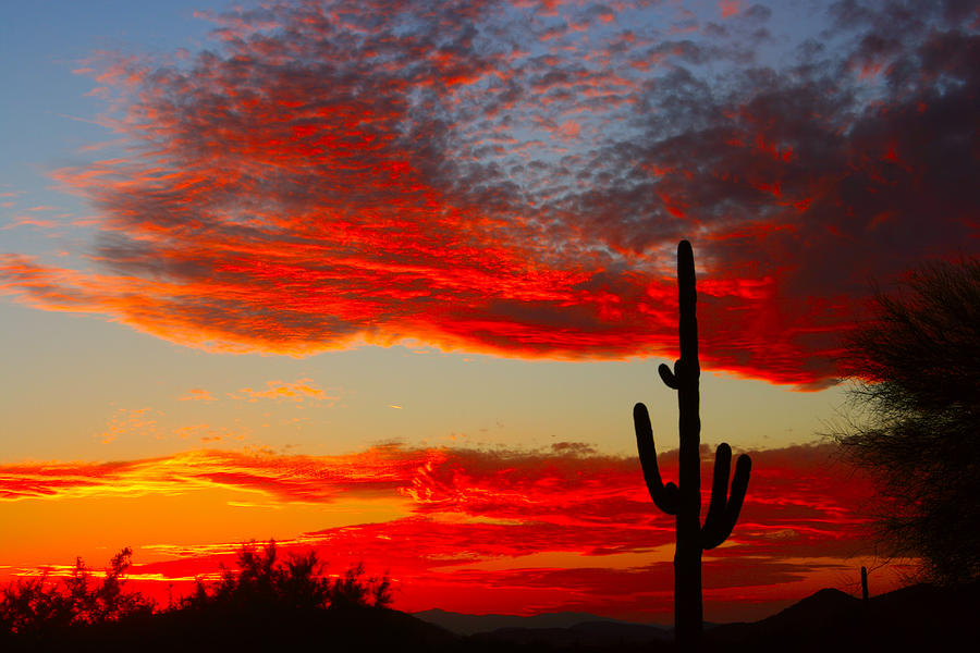 Nature Photograph - Colorful Arizona Sunset by James BO Insogna