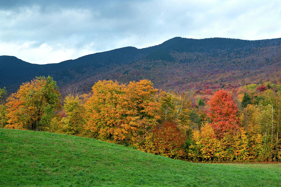 Autumnal Vermont Photograph by Carole Gordon