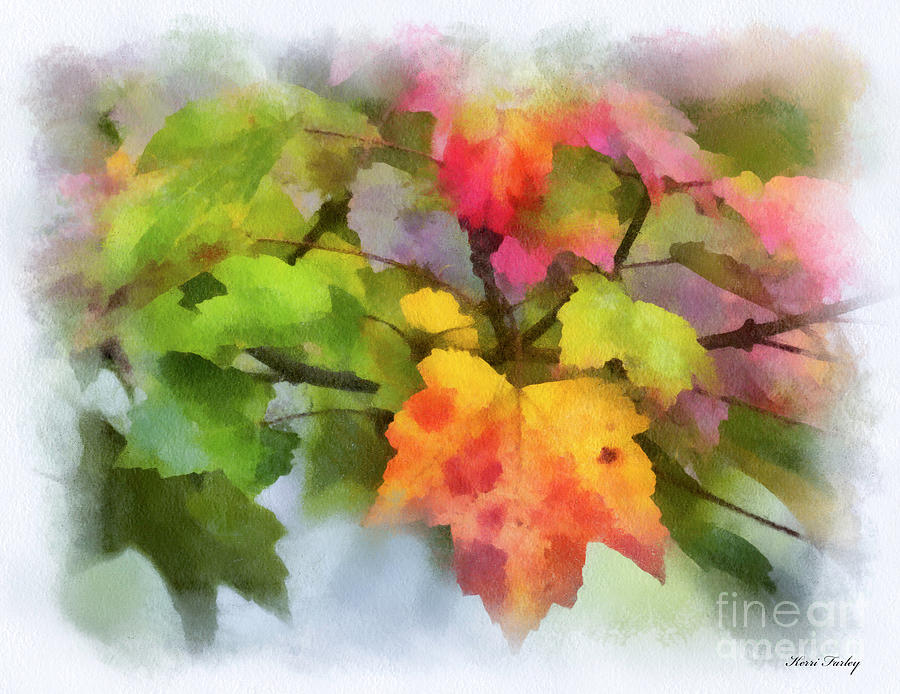 Colorful Autumn Leaves - Digital Watercolor Photograph by Kerri Farley