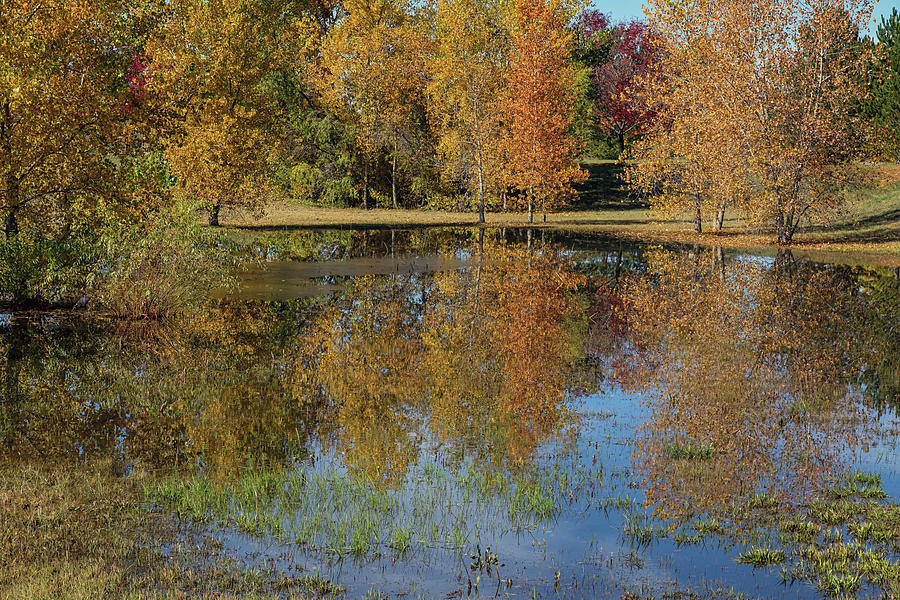 Fall Photograph - Colorful Autumn Pond Reflections by James BO Insogna