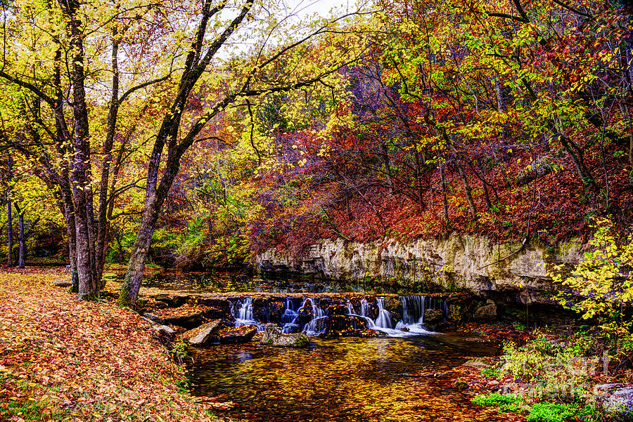 Colorful Autumn Stream in Dogwood Canyon Photograph by Jean Hutchison