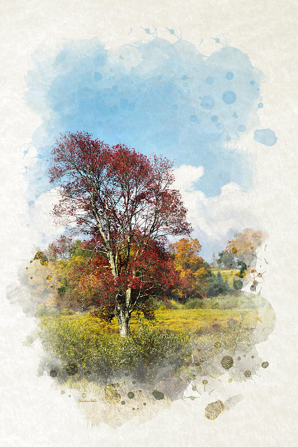 Autumn Tree Watercolor Art Mixed Media by Christina Rollo