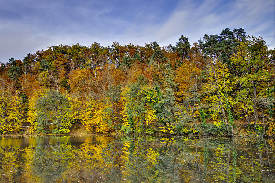 Colorful autumn trees Photograph by Ivan Slosar