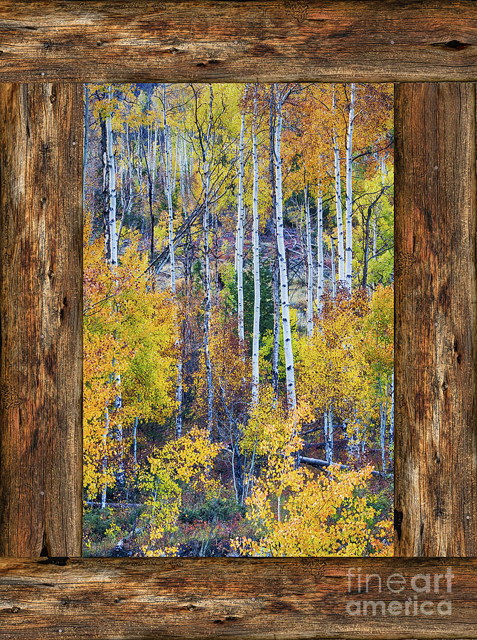 Colorful Auumn Forest Rustic Cabin Window Portrait View  Photograph by James BO Insogna