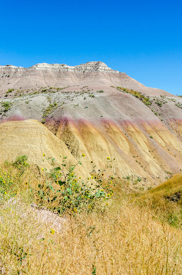 Nature Photograph - Colorful Badlands of South Dakota by Debra Martz