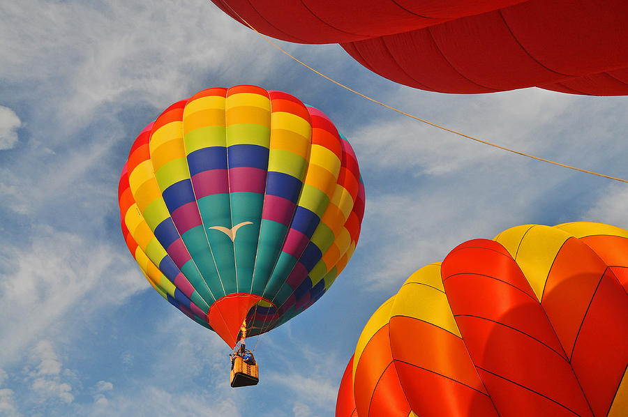 Colorful Balloon No 1 Photograph by Mike Martin