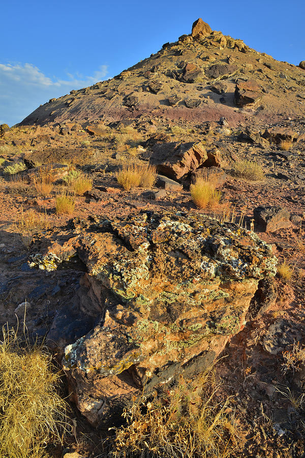 Colorful Bentonite Hills Of Grand Junction Photograph
