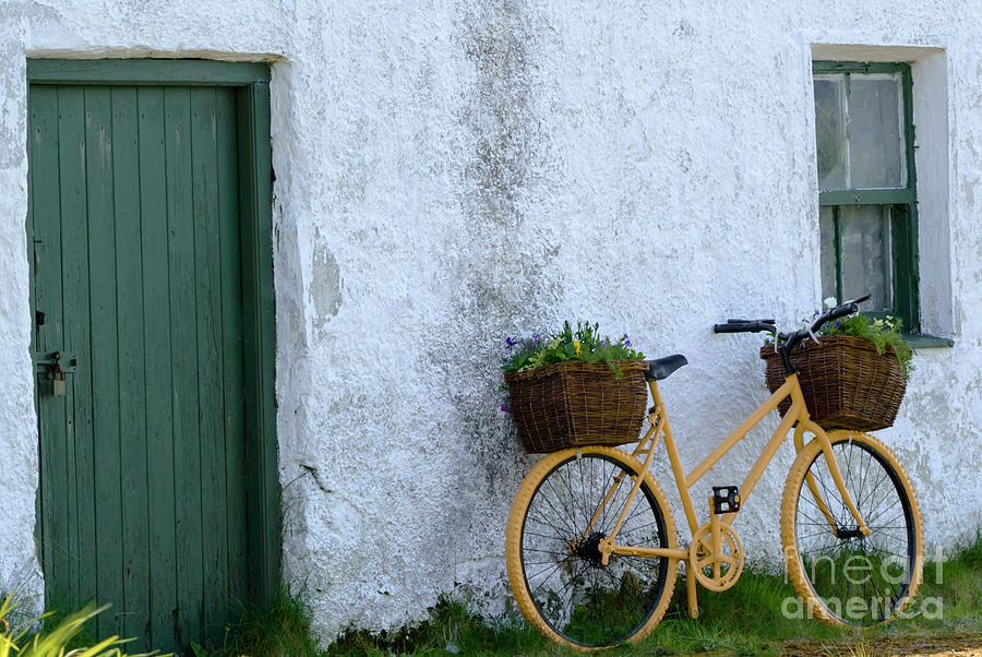 Colorful Bicycles Photograph by Julie Chambers Colorful Bicycles Photograph by Julie Chambers