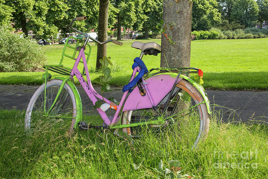 Colorful Bike Photograph
