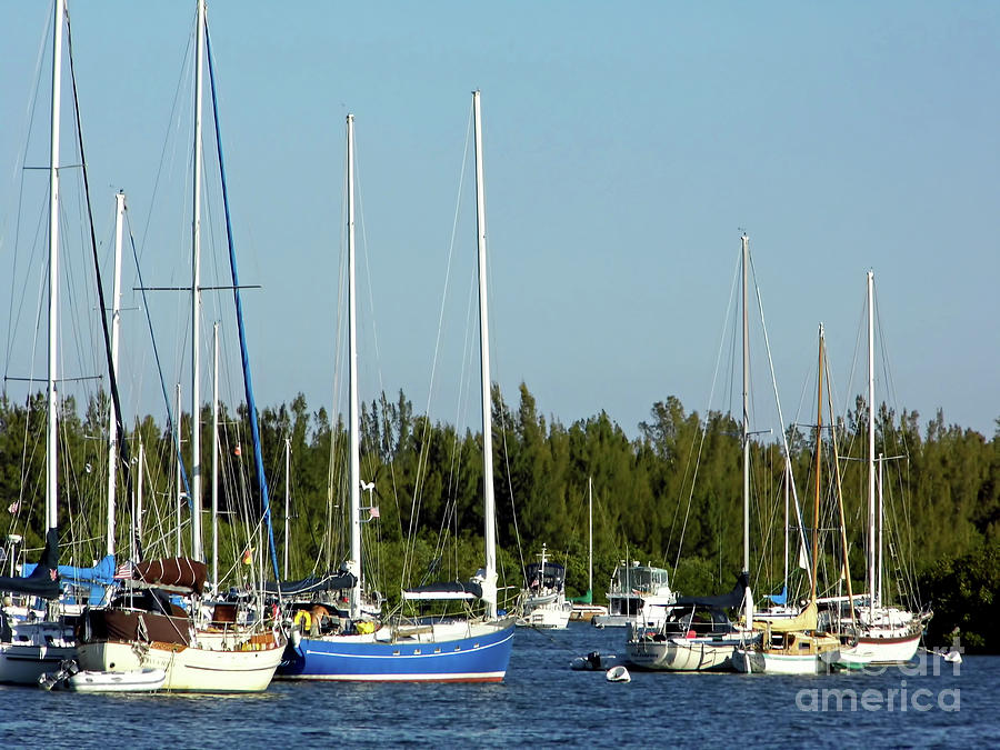 Colorful Boats In The Indian River Lagoon Photograph by D Hackett