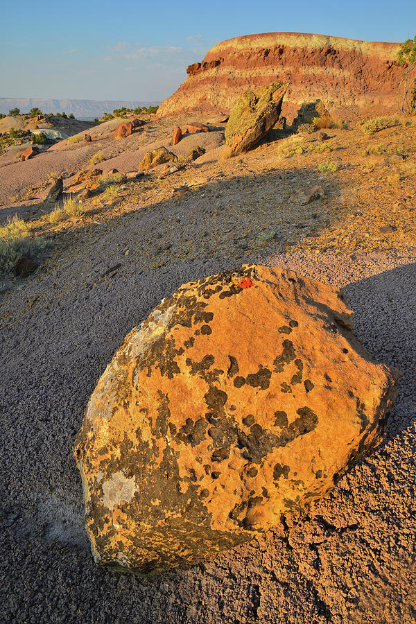 Colorful Boulder and Dunes in Bentonite Site Photograph by Ray Mathis