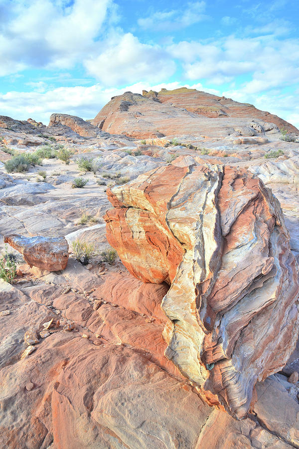 Colorful Boulder at Valley of Fire Photograph by Ray Mathis