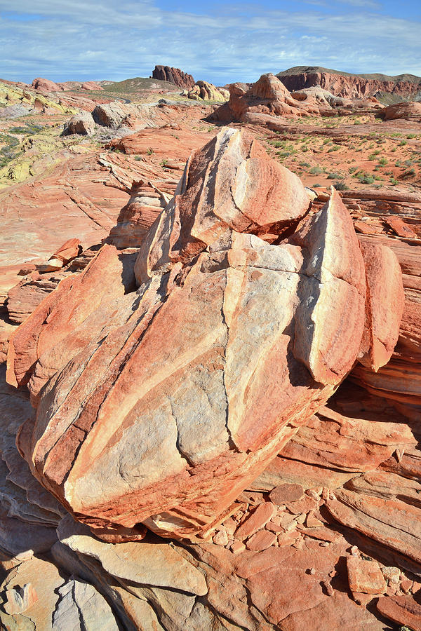 Colorful Boulder in Valley of Fire Photograph by Ray Mathis