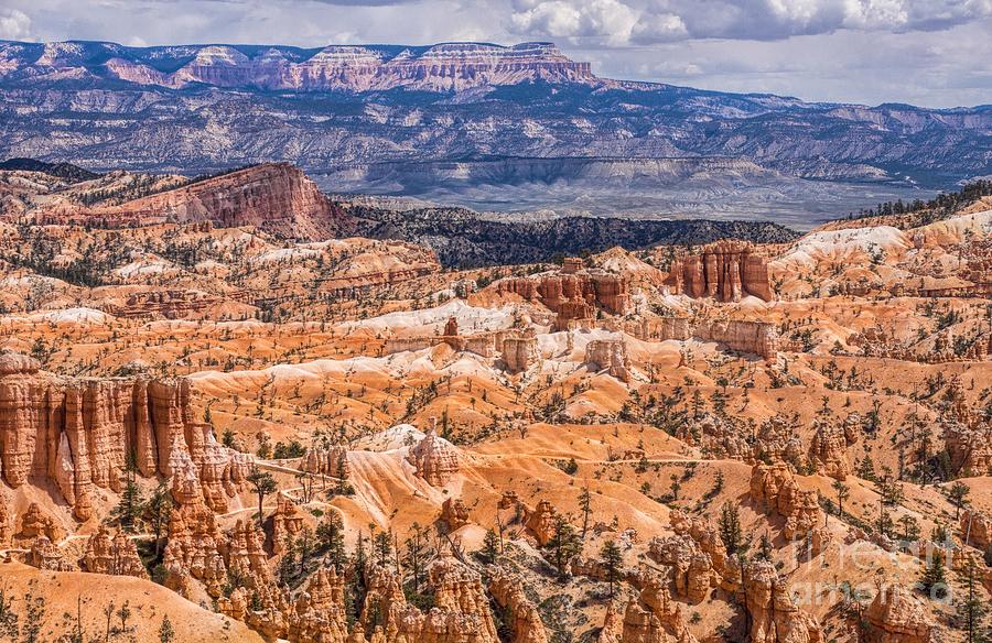 Colorful Bryce Canyon Photograph by Peggy Hughes