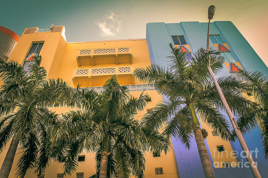 Colorful building and palm trees Photograph by Claudia M Photography