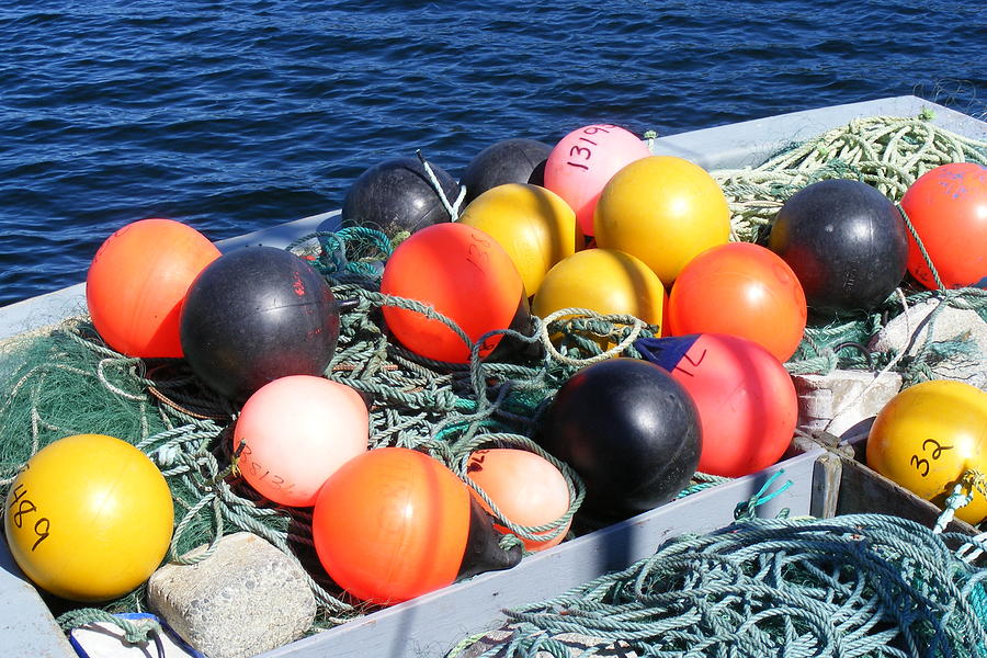 Colorful Buoys Photograph by Barbara A Griffin