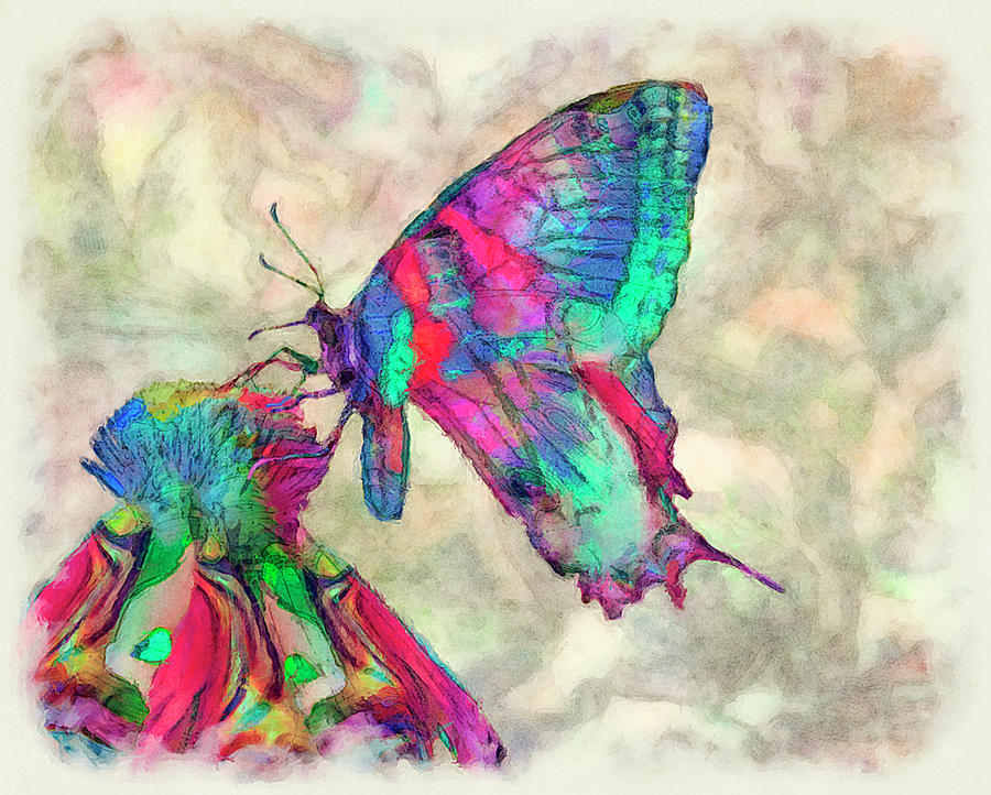 Colorful Butterfly 2 Painting by Jack Zulli