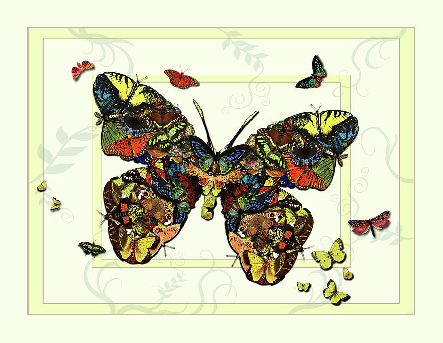 Colorful Butterfly Collage Painting by Deborah Smith