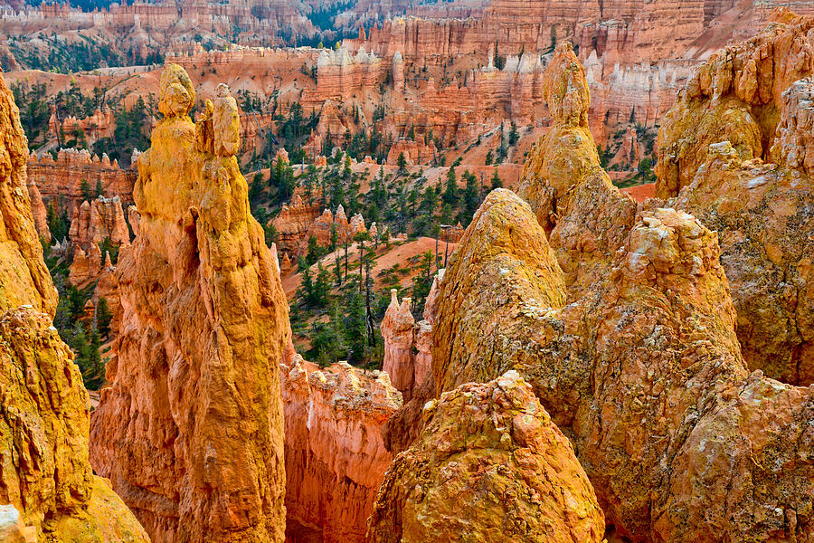 Colorful Canyon Country Photograph by Dawn Flannery
