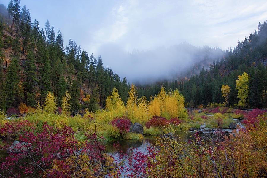  Colorful canyon with fog Photograph by Lynn Hopwood