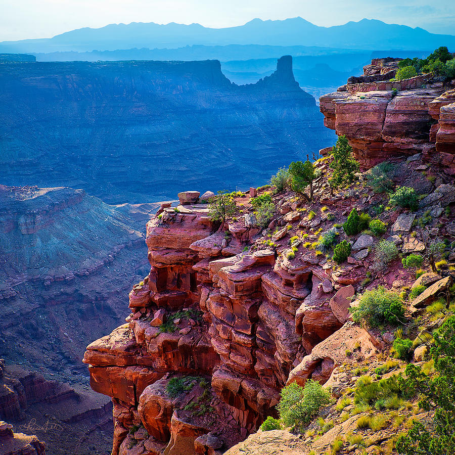 Colorful Canyonlands Photograph by Renee Sullivan