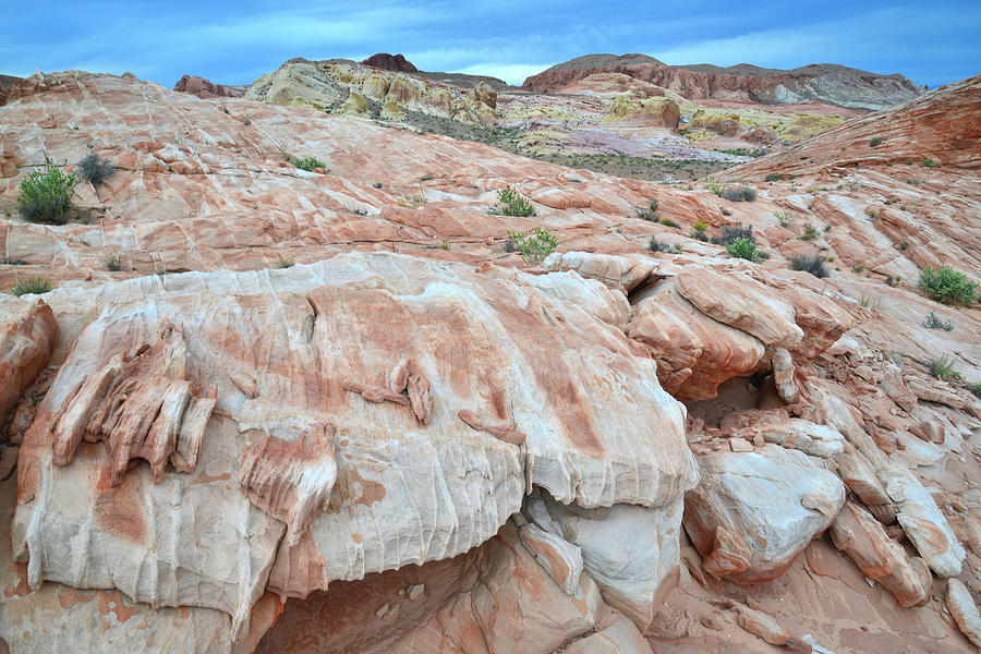 Colorful Cap Rocks in Valley of Fire Photograph by Ray Mathis