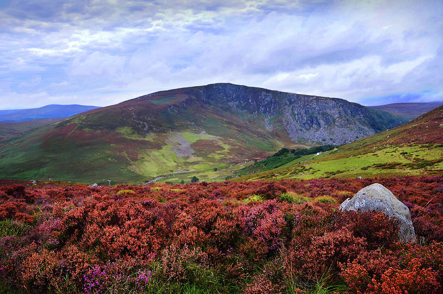 Mountain Photograph - Colorful Carpet of Wicklow Hills by Jenny Rainbow