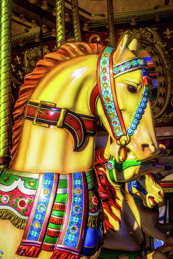 Colorful Carrousel Horse Ride Photograph by Garry Gay