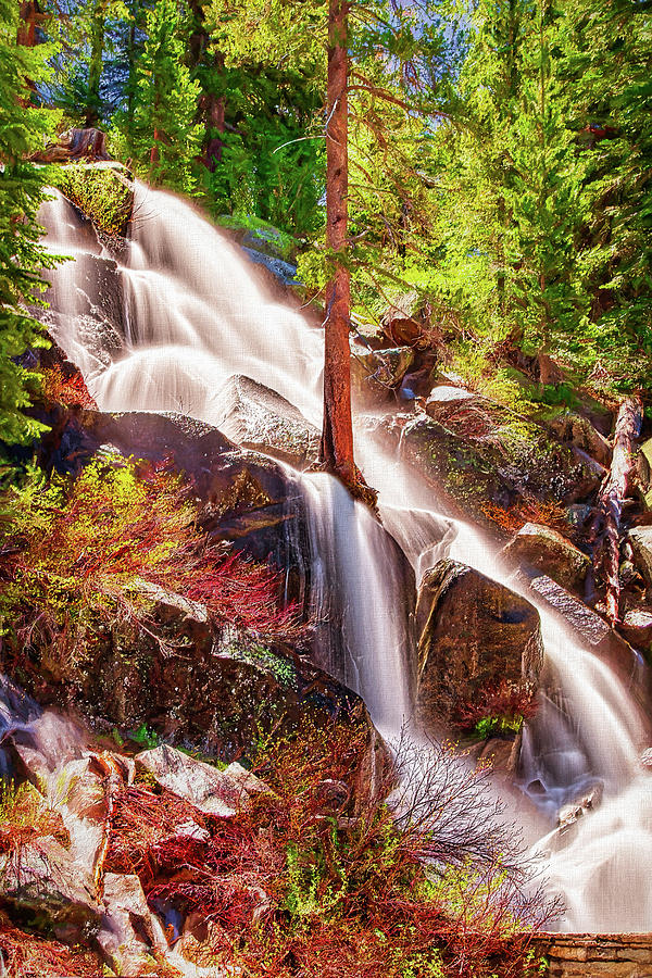 Colorful Cascade Waterfall on Tioga Pass AP Painting by Dan Carmichael