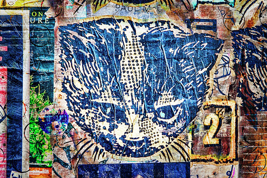 Colorful Cat Graffiti Number 1 Photograph by Carol Leigh