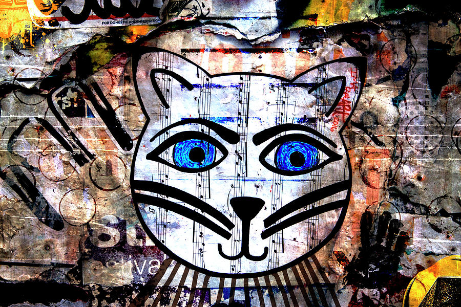 Colorful Cat Graffiti Number 2 Photograph by Carol Leigh