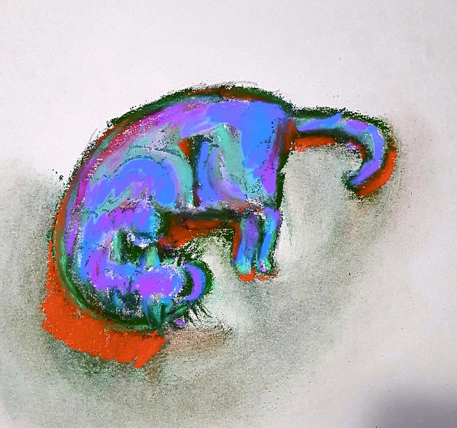 Colorful Cat Drawing by Hae Kim
