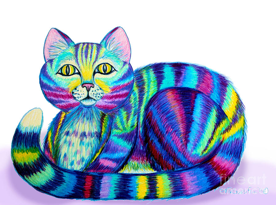 Colorful Cat Drawing